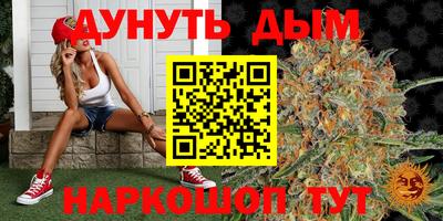 молекула духа Волжский