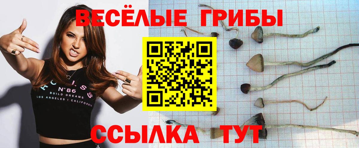 Псилоцибиновые грибы Psilocybine cubensis  купить наркотики цена  Домодедово  Вход с VPN  Псилоцибиновые грибы Psilocybe 