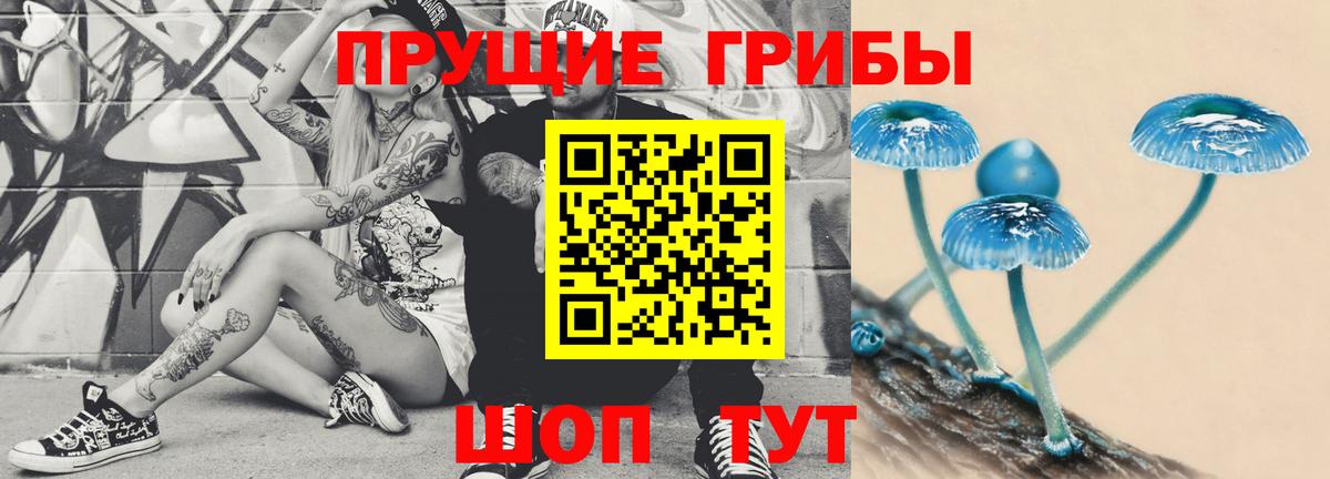 Галлюциногенные грибы Magic Shrooms Домодедово